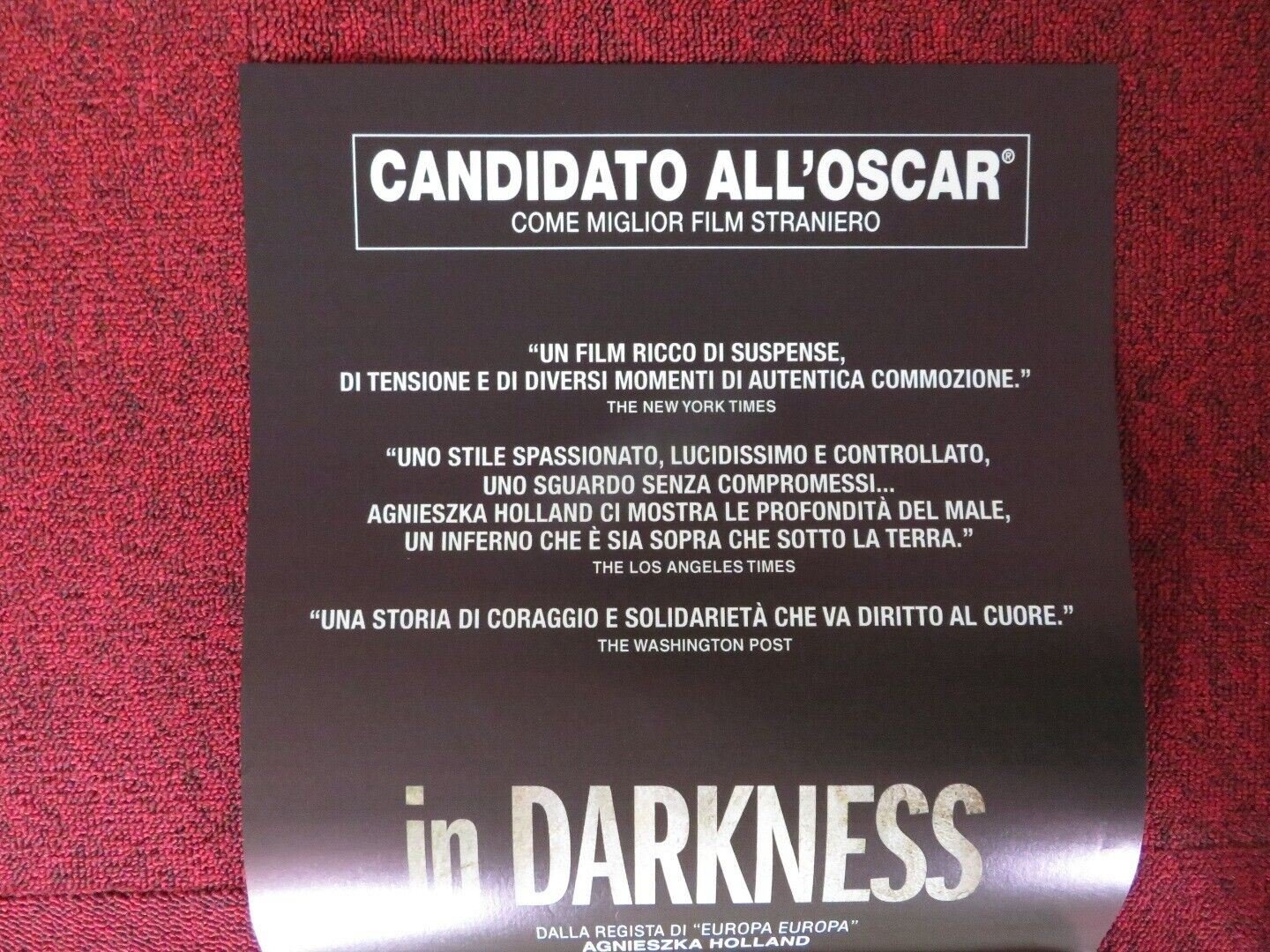 IN DARKNESS ITALIAN LOCANDINA (26.5"x12.5") POSTER ROBERT WIECKIEWICZ 2011 - Rendezvous Cinema