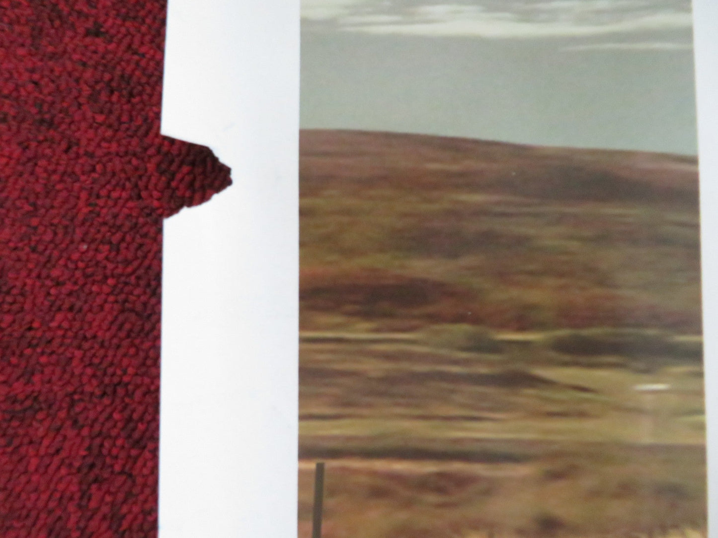 IN MY FATHER'S DEN QUAD (30"x 40") ROLLED POSTER MATTHEW MACFADYEN 2004 Rendezvous Cinema Movie posters