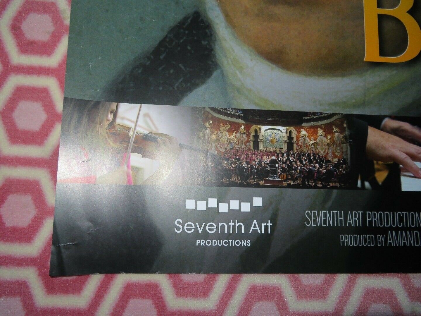 IN SEARCH OF BEETHOVEN QUAD (30"x 40") ROLLED POSTER 2009 EXHIBITION ON SCREEN Movie posters