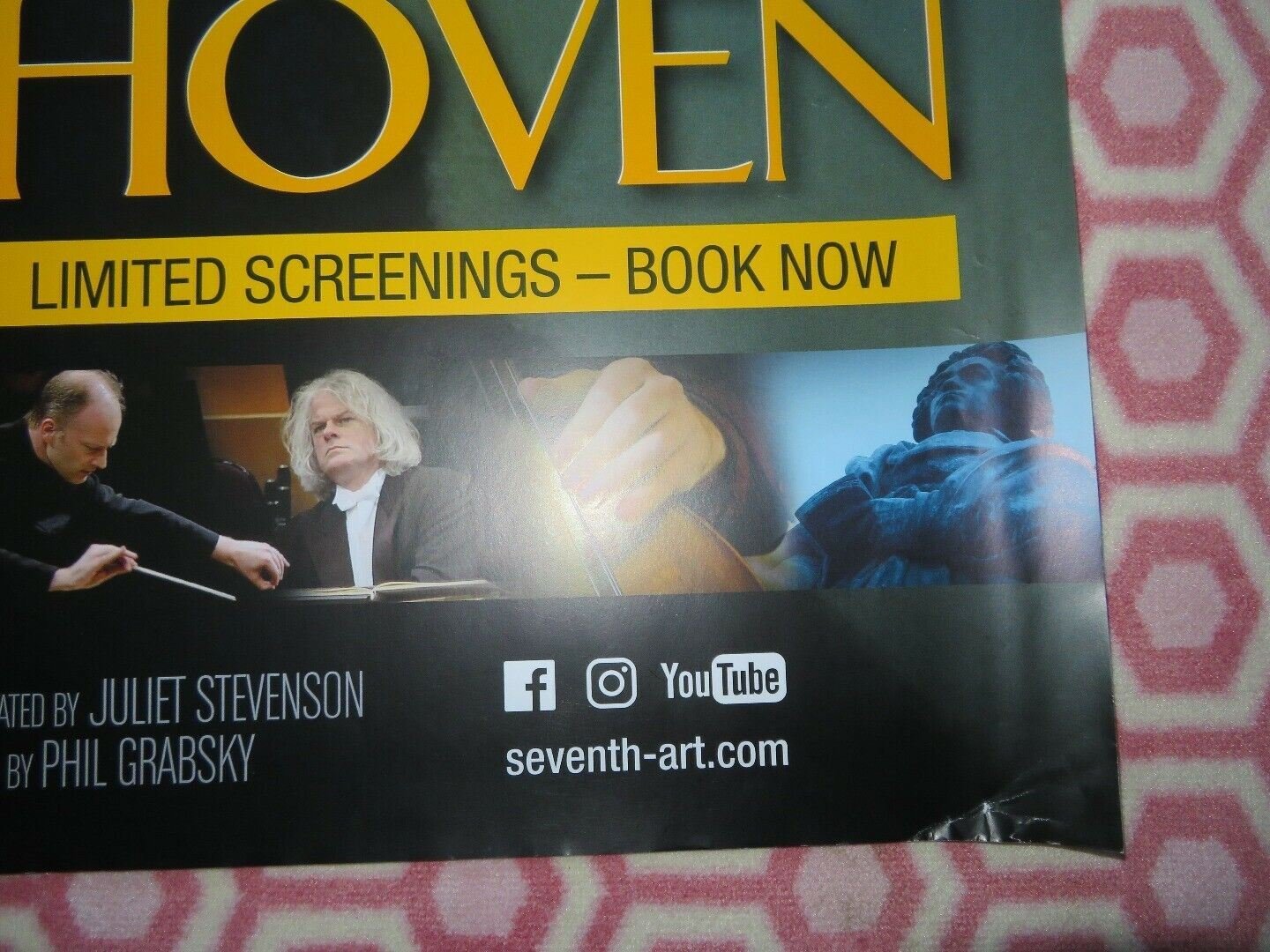 IN SEARCH OF BEETHOVEN QUAD (30"x 40") ROLLED POSTER 2009 EXHIBITION ON SCREEN Movie posters