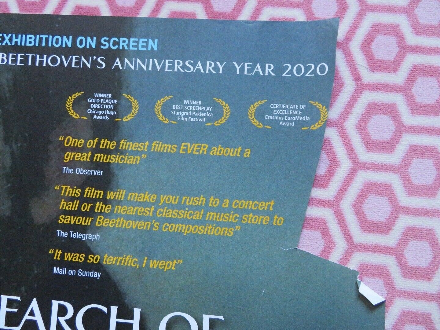 IN SEARCH OF BEETHOVEN QUAD (30"x 40") ROLLED POSTER 2009 EXHIBITION ON SCREEN Movie posters