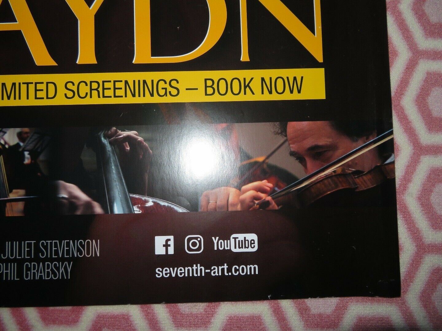 IN SEARCH OF HAYDN QUAD (30"x 40") ROLLED POSTER BEETHOVEN 2012 Movie posters