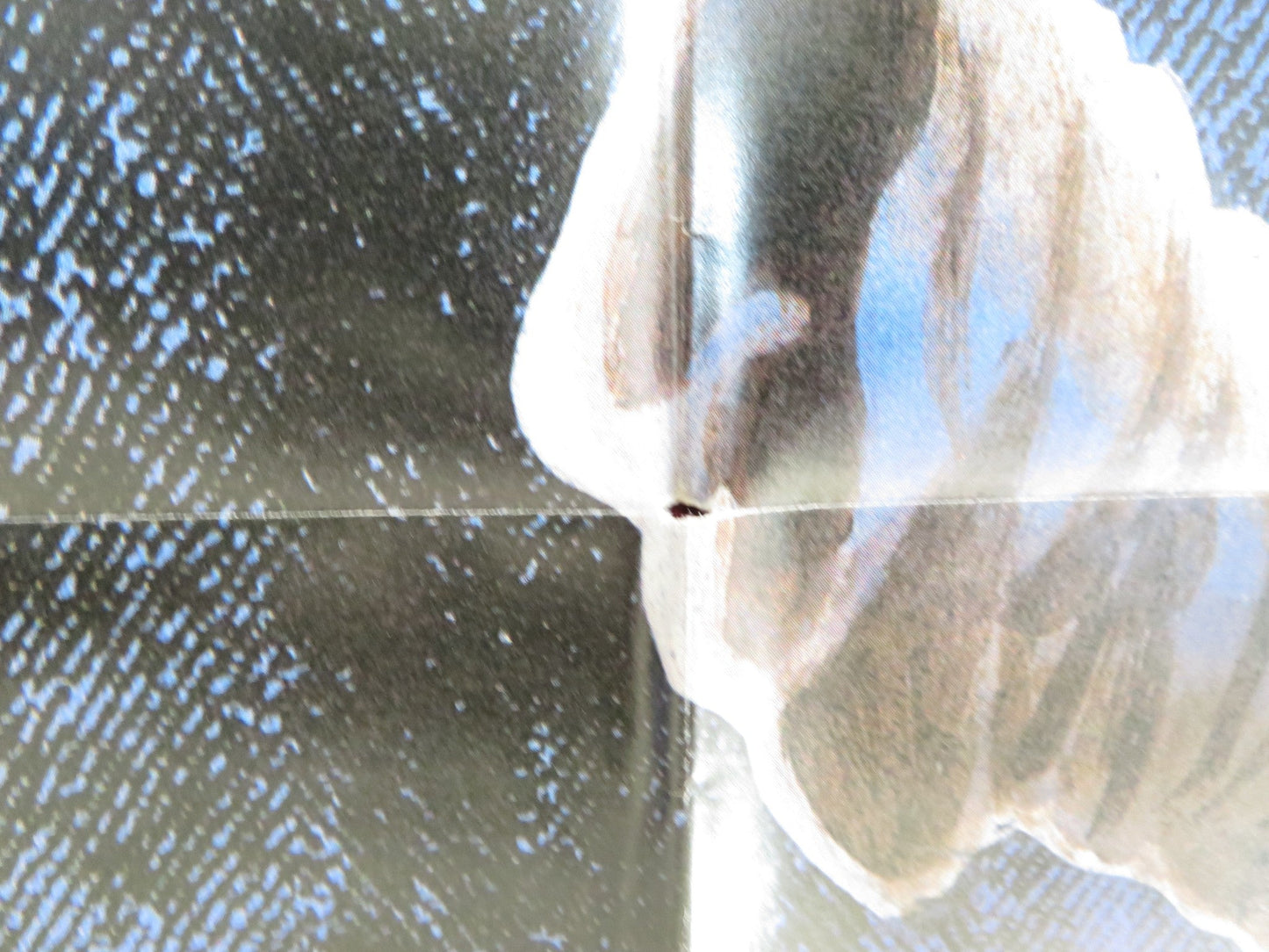 IN SEARCH OF HISTORIC JESUS - b FOLDED US ONE SHEET POSTER JOHN RUBINSTEIN 1979 Rendezvous Cinema Movie posters