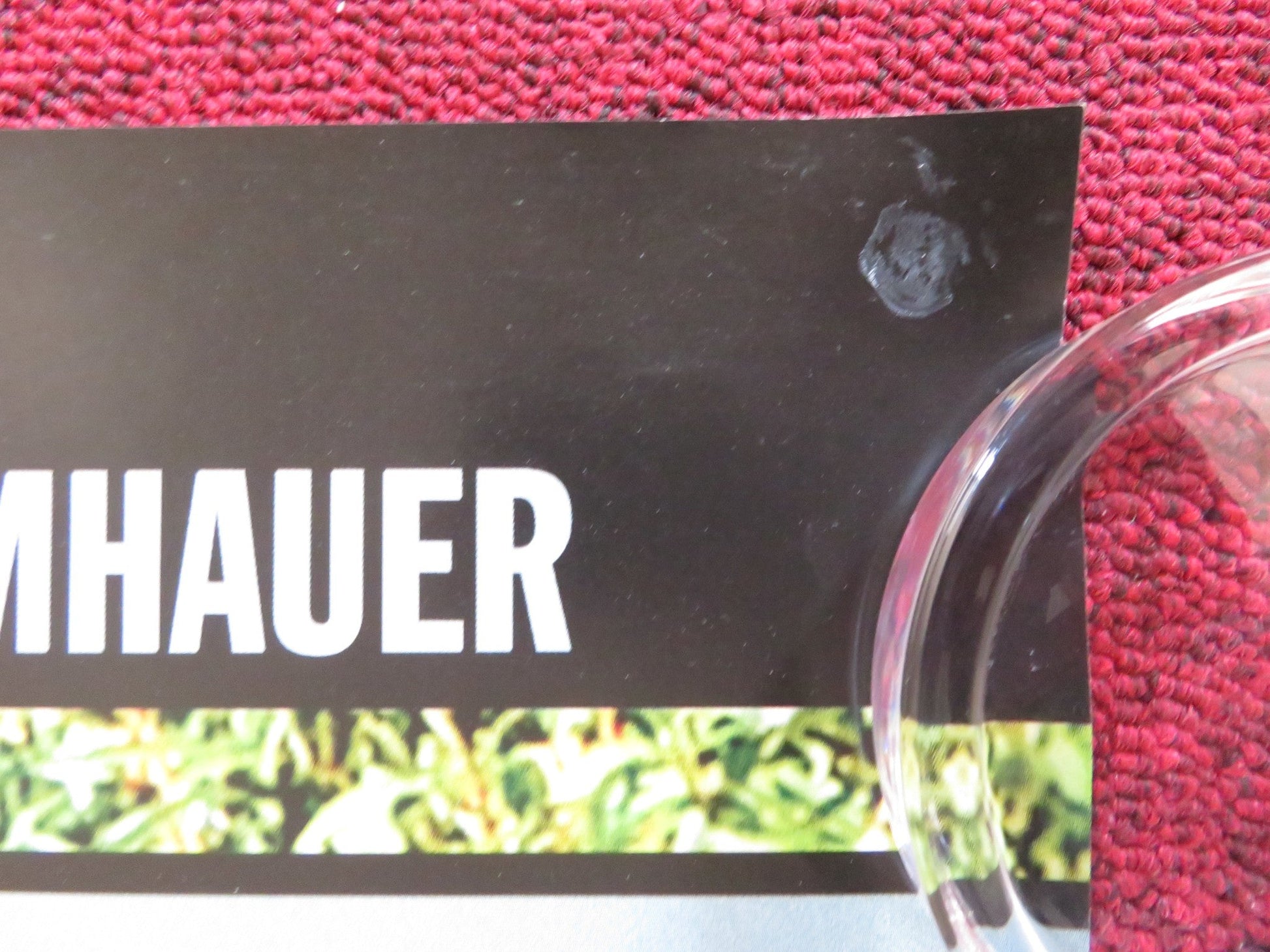 IN THE HOUSE UK QUAD (30"x 40") ROLLED POSTER FABRICE LUCHINI ERNST UMHAUER 2012 Rendezvous Cinema Movie posters