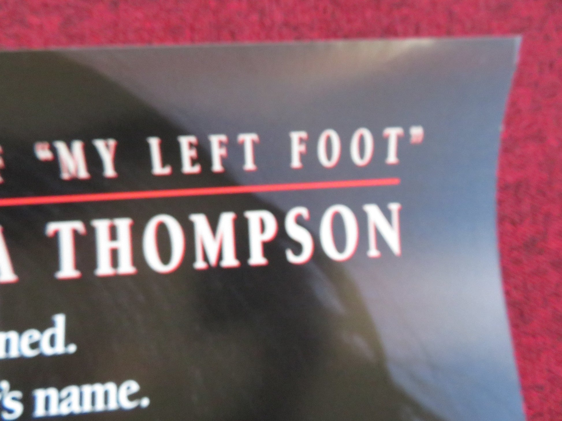 IN THE NAME OF THE FATHER - A US ONE SHEET ROLLED POSTER DANIEL DAY - LEWIS 1993 Rendezvous Cinema Movie posters