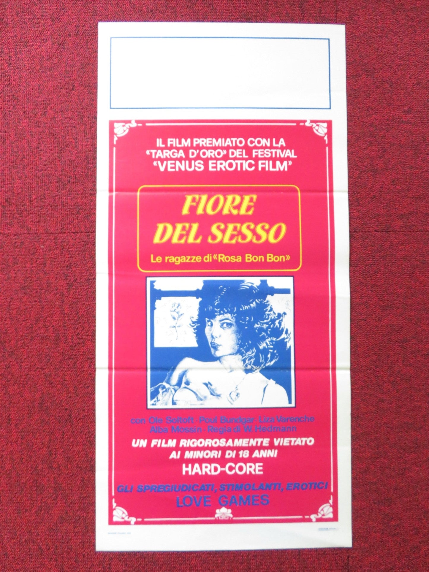 IN THE SIGN OF THE LION ITALIAN LOCANDINA POSTER OLE SOLTOFT POUL BUNDGAR 1983 Rendezvous Cinema Movie posters