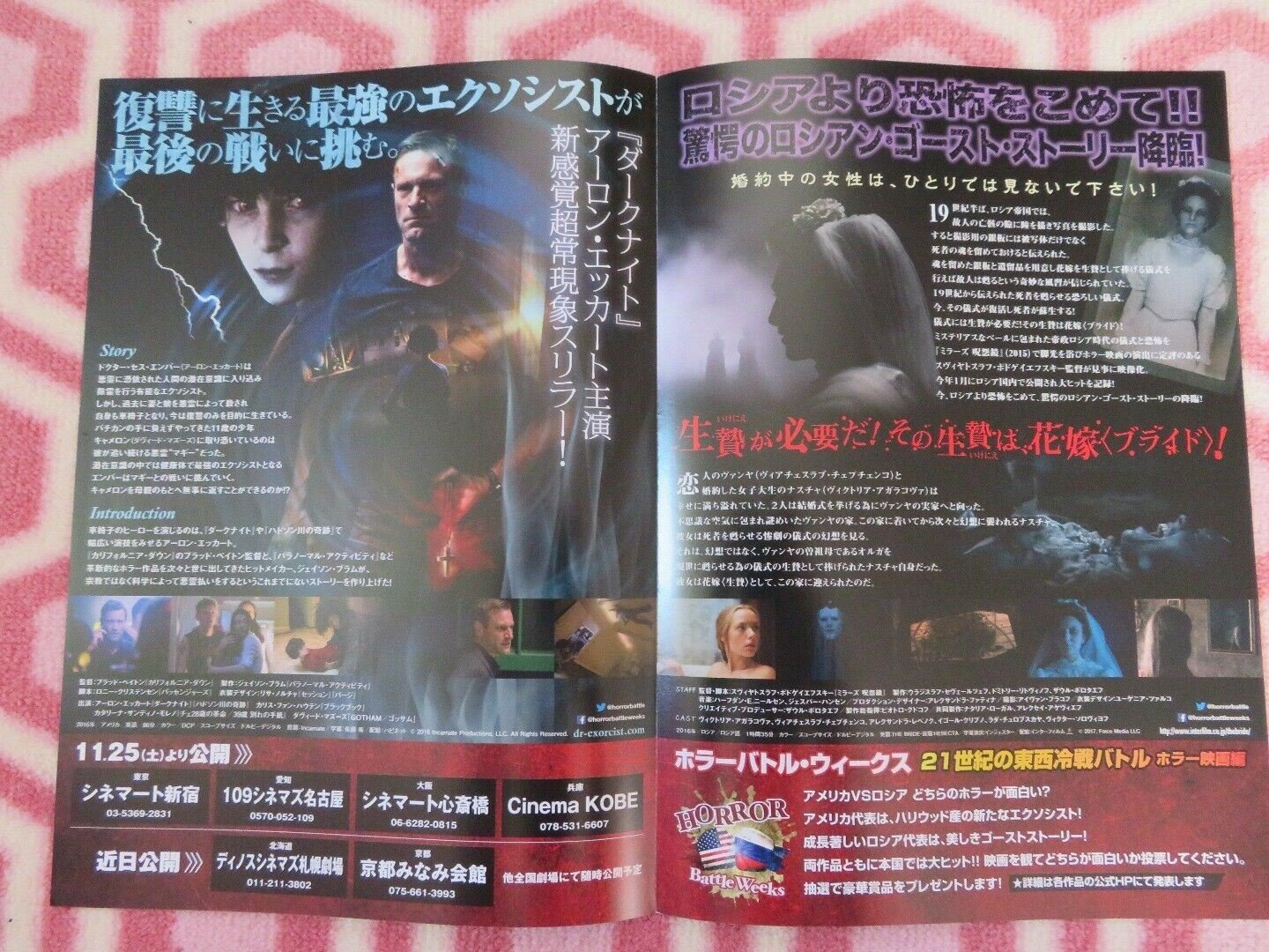 INCARNATE/ THE BRIDE JAPANESE CHIRASHI (B5) POSTER BRAD PEYTON 2016/17 - Rendezvous Cinema