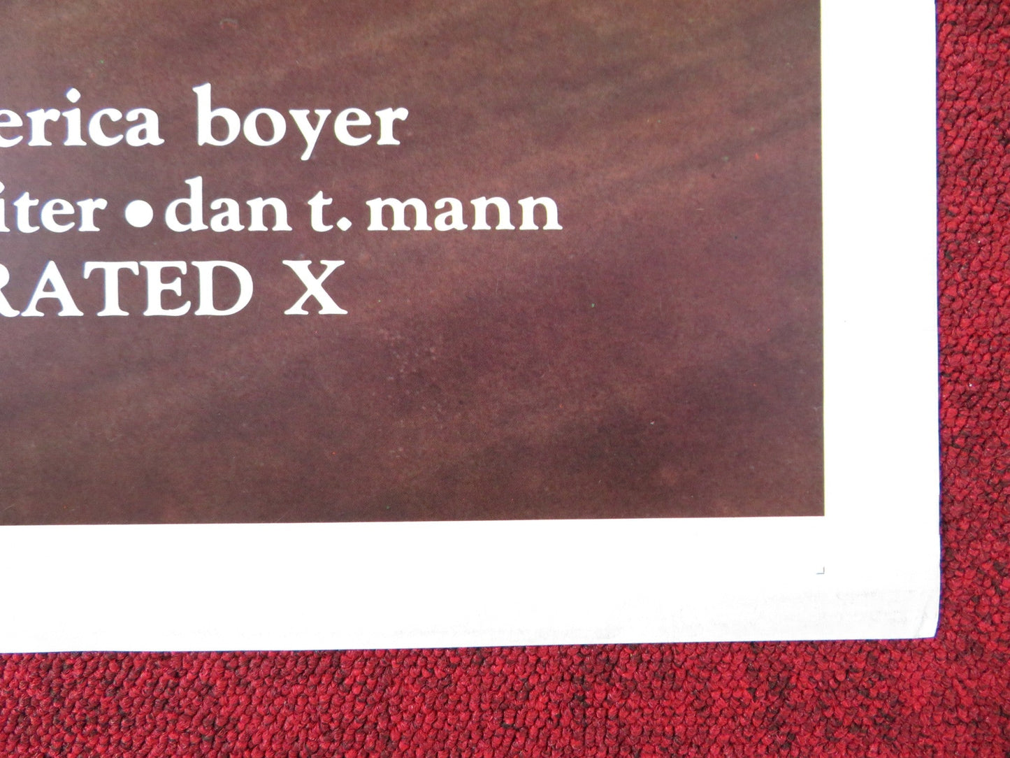 INDECENT PLEASURES US TRI FOLDED ONE SHEET ROLLED POSTER JESIE ST. JAMES 1984 Rendezvous Cinema Movie posters