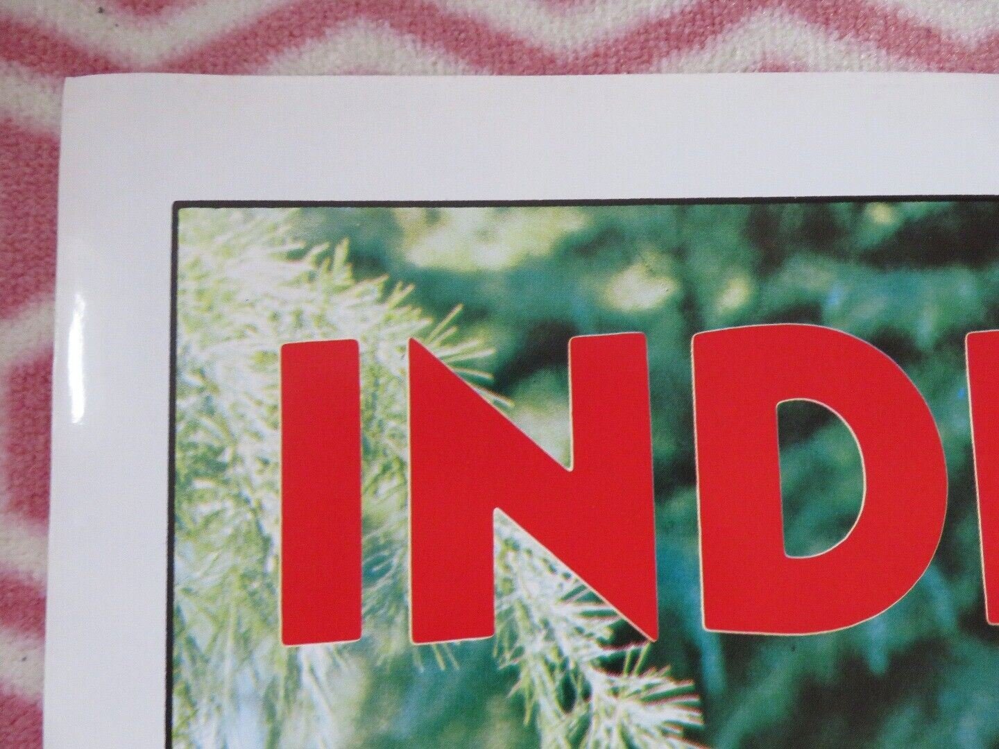 INDIAN LADY FOLDED US ONE SHEET POSTER CINDY LOU DEBBIE TRUELOVE 1981 Movie posters