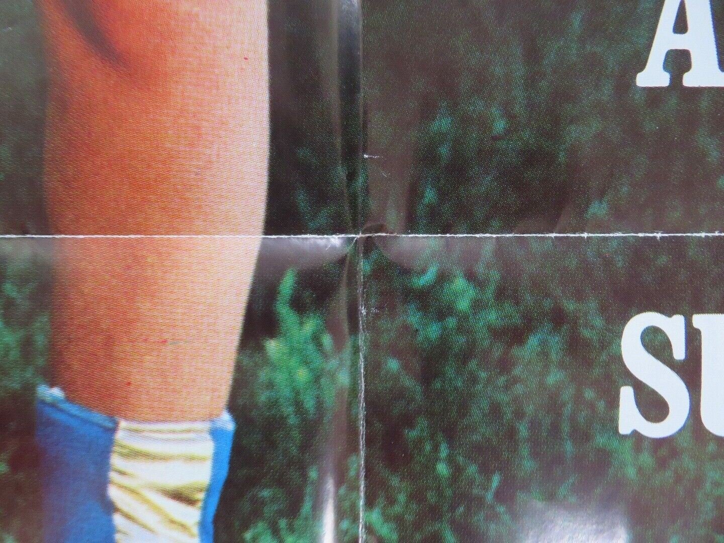 INDIAN LADY FOLDED US ONE SHEET POSTER CINDY LOU DEBBIE TRUELOVE 1981 Movie posters