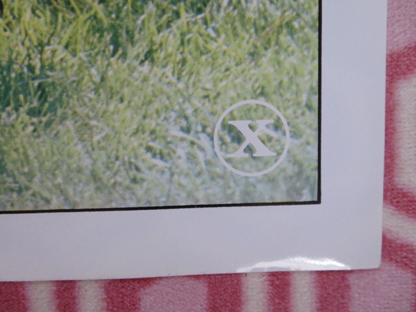 INDIAN LADY FOLDED US ONE SHEET POSTER CINDY LOU DEBBIE TRUELOVE 1981 Movie posters