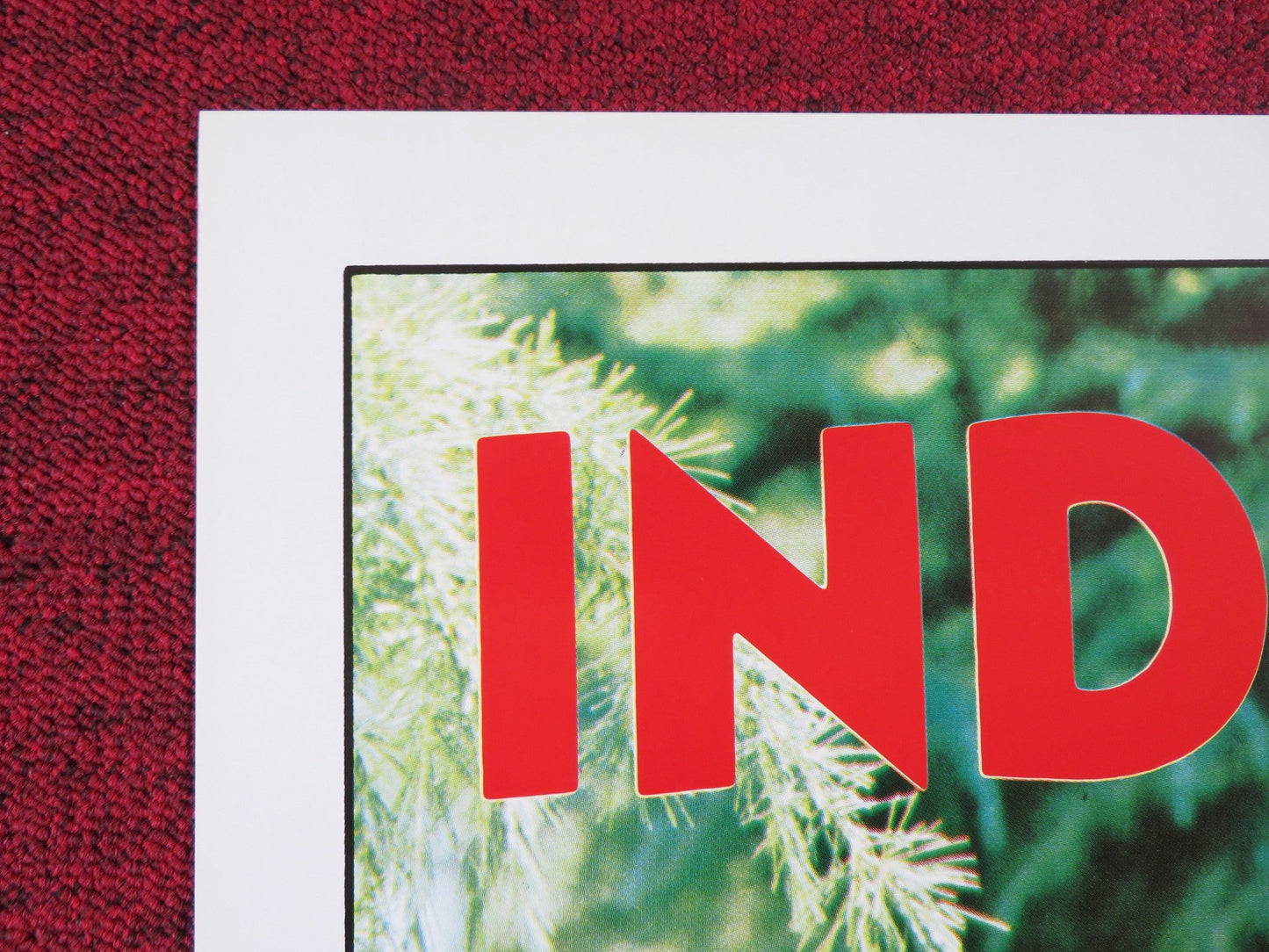 INDIAN LADY US TRI FOLDED ONE SHEET ROLLED POSTER DEBBIE TRUELOVE A. MARTIN 1981 Rendezvous Cinema Movie posters