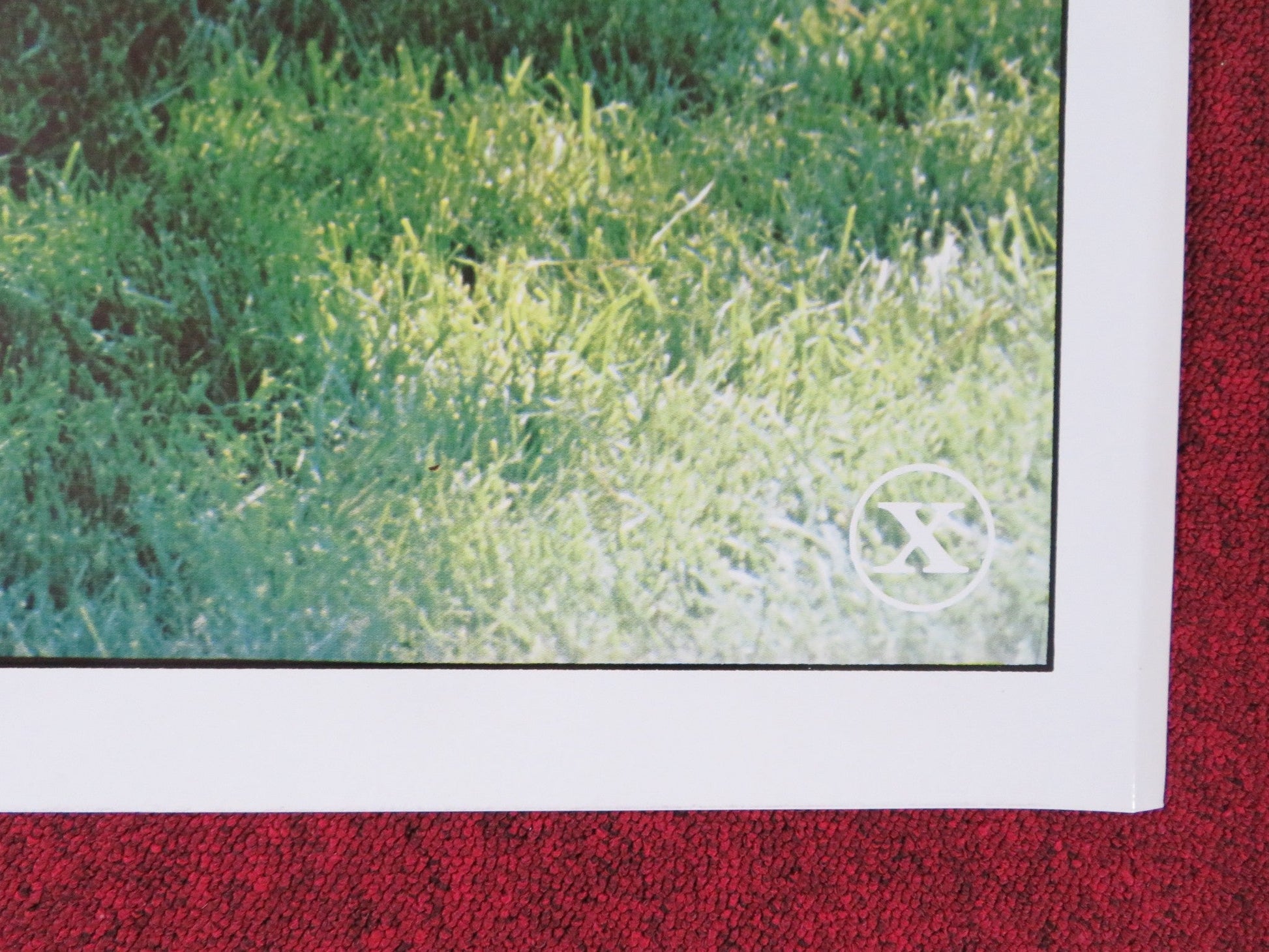 INDIAN LADY US TRI FOLDED ONE SHEET ROLLED POSTER DEBBIE TRUELOVE A. MARTIN 1981 Rendezvous Cinema Movie posters