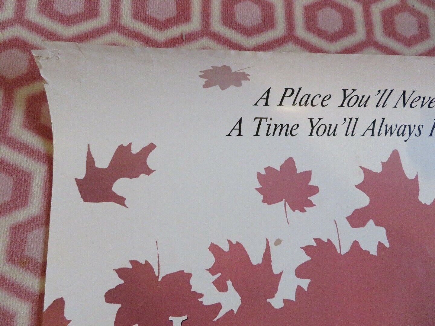 INDIAN SUMMER US ONE SHEET ROLLED POSTER ALAN ARKIN BILL PAXTON 1993 Movie posters