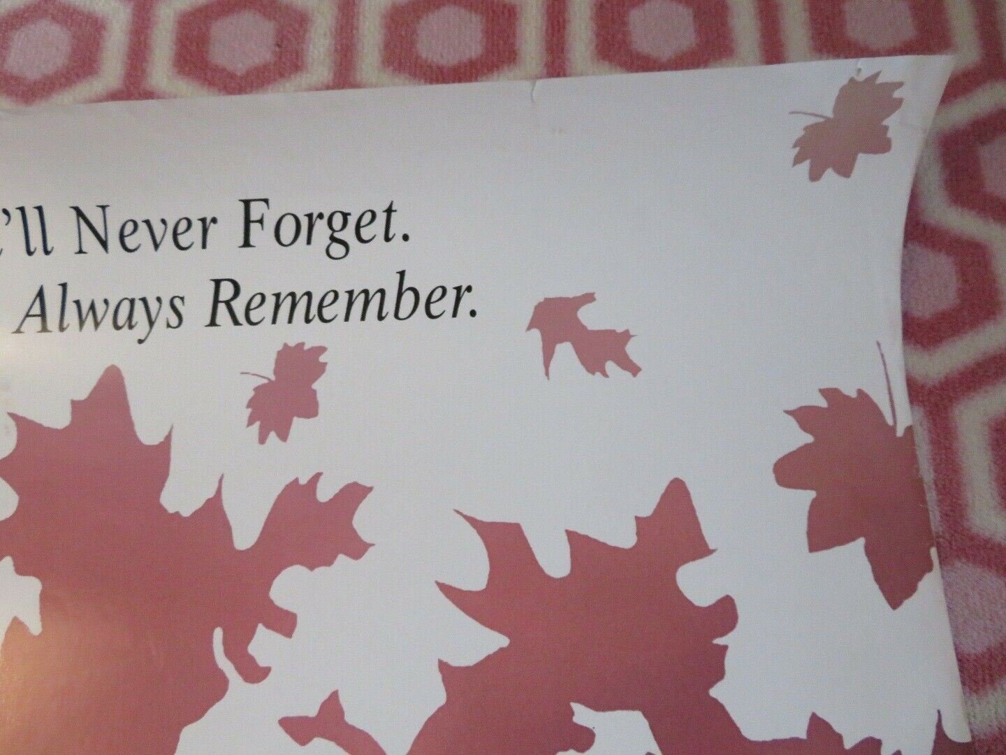 INDIAN SUMMER US ONE SHEET ROLLED POSTER ALAN ARKIN BILL PAXTON 1993 Movie posters