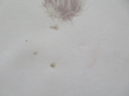 INSIDE I'M DANCING UK QUAD ROLLED POSTER JAMES MCAVOY STEVEN ROBERTSON 2004 Rendezvous Cinema Movie posters