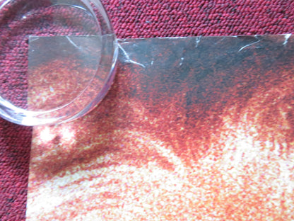 INSTINCT UK QUAD ROLLED POSTER ANTHONY HOPKINS CUBA GOODING JR. 1999 Rendezvous Cinema Movie posters