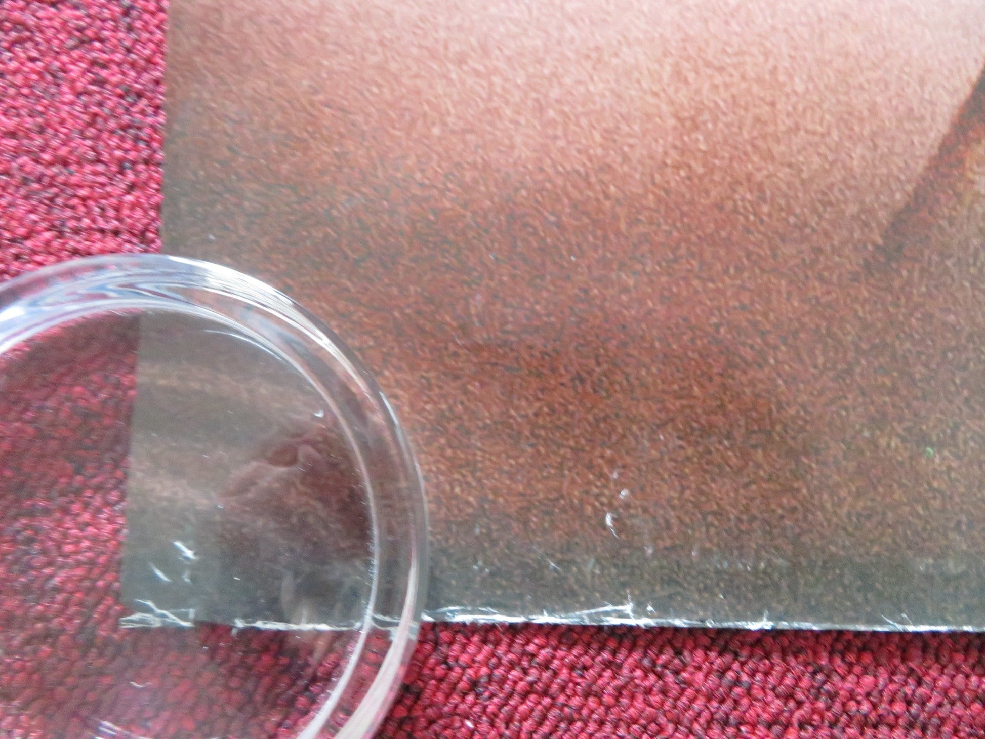 INSTINCT UK QUAD ROLLED POSTER ANTHONY HOPKINS CUBA GOODING JR. 1999 Rendezvous Cinema Movie posters