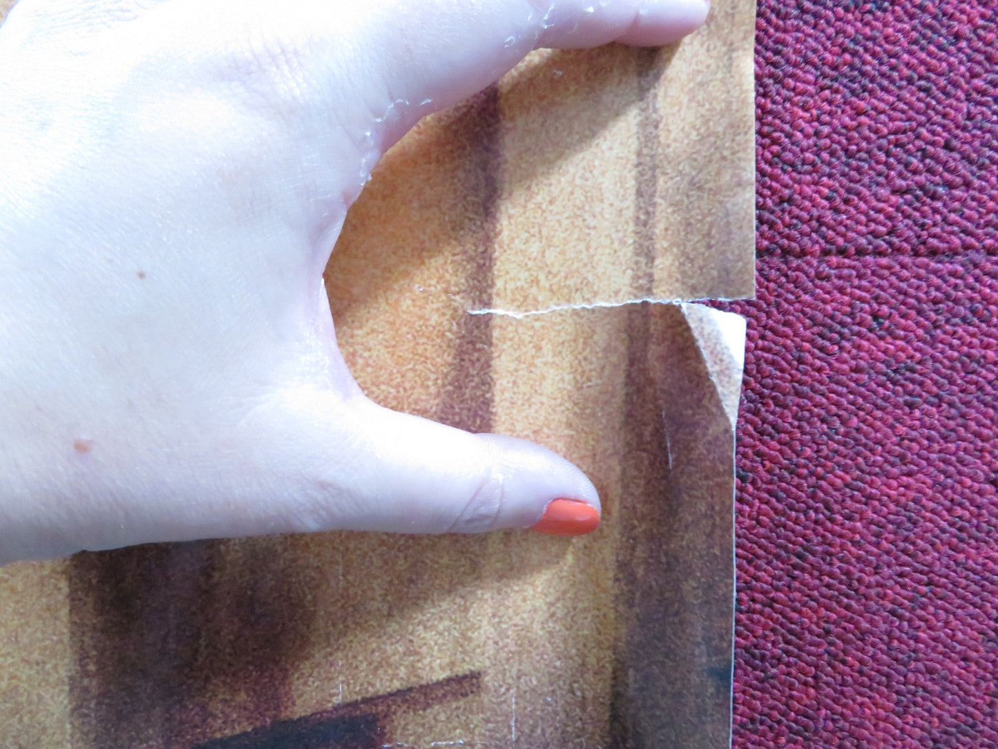 INSTINCT UK QUAD ROLLED POSTER ANTHONY HOPKINS CUBA GOODING JR. 1999 Rendezvous Cinema Movie posters