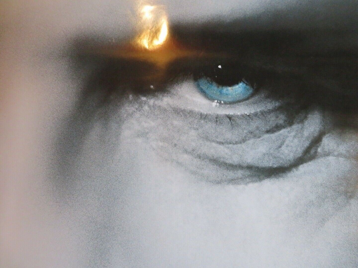 INSTINCT US ONE SHEET ROLLED POSTER ANTHONY HOPKINS CUBA GODING JR. Movie posters