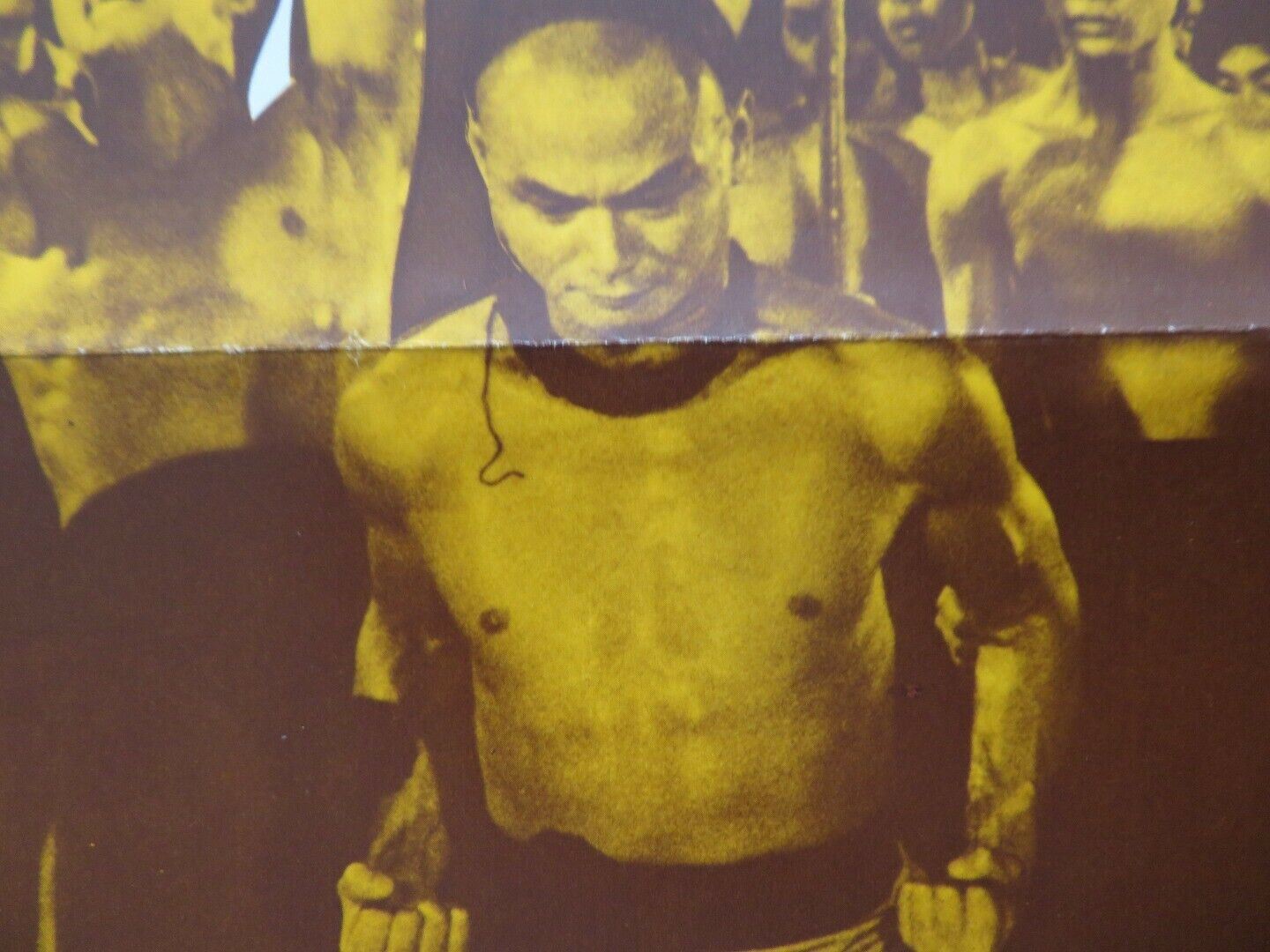 INSTRUCTORS OF DEATH / MARTIAL CLUB - KUNG FU US ONE SHEET ROLLED POSTER 1981 Movie posters