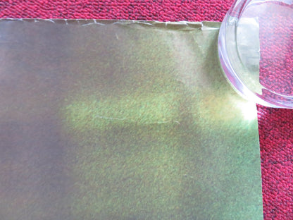 INTACTO UK QUAD (30"x 40") ROLLED POSTER LEONARDO SBARAGLIA EUSEBIO PONCELA 2001 Rendezvous Cinema Movie posters