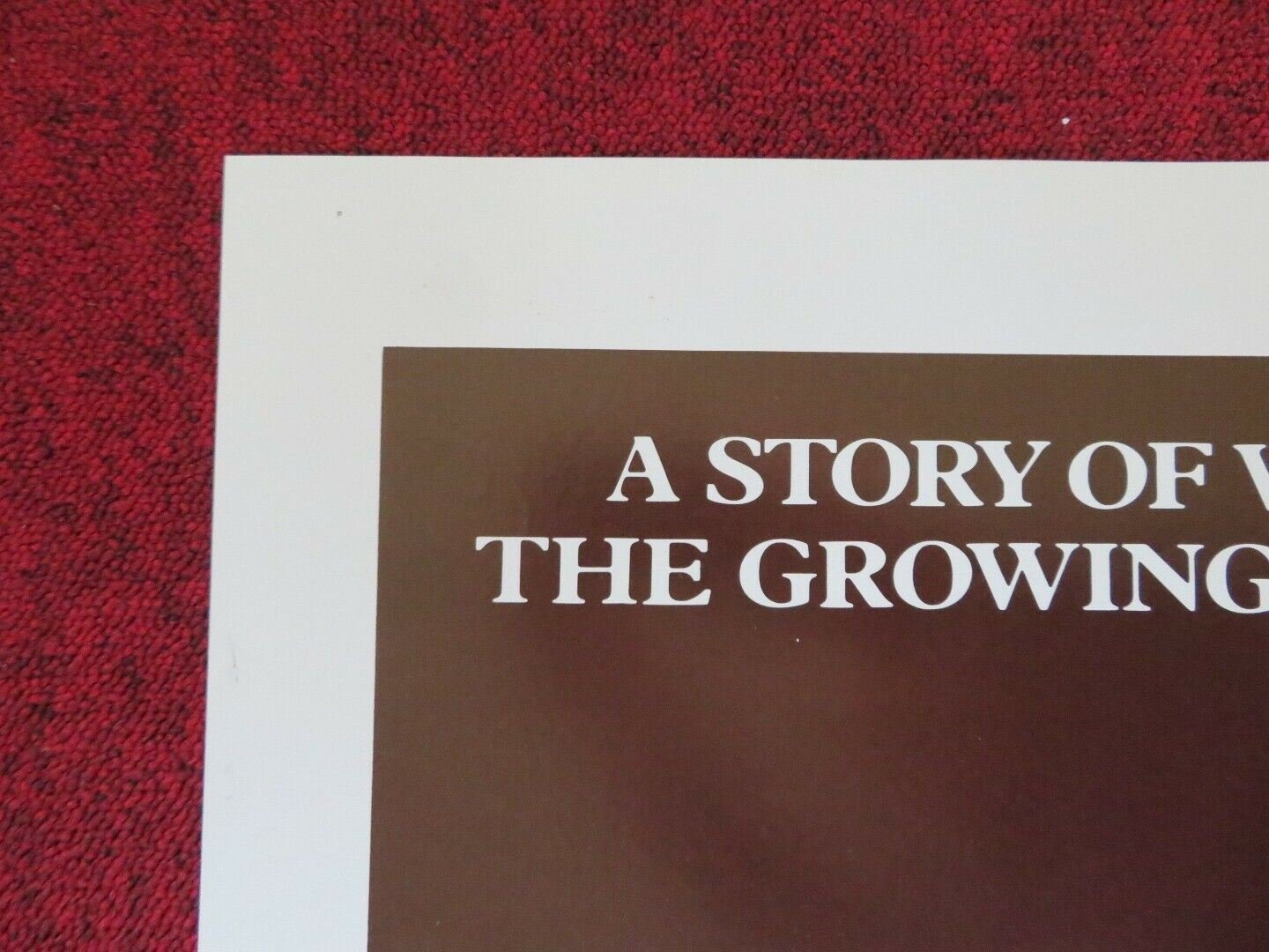 INTERNATIONAL VELVET - ADVANCED FOLDED US ONE SHEET POSTER ANTHONY HOPKINS '78G Movie posters