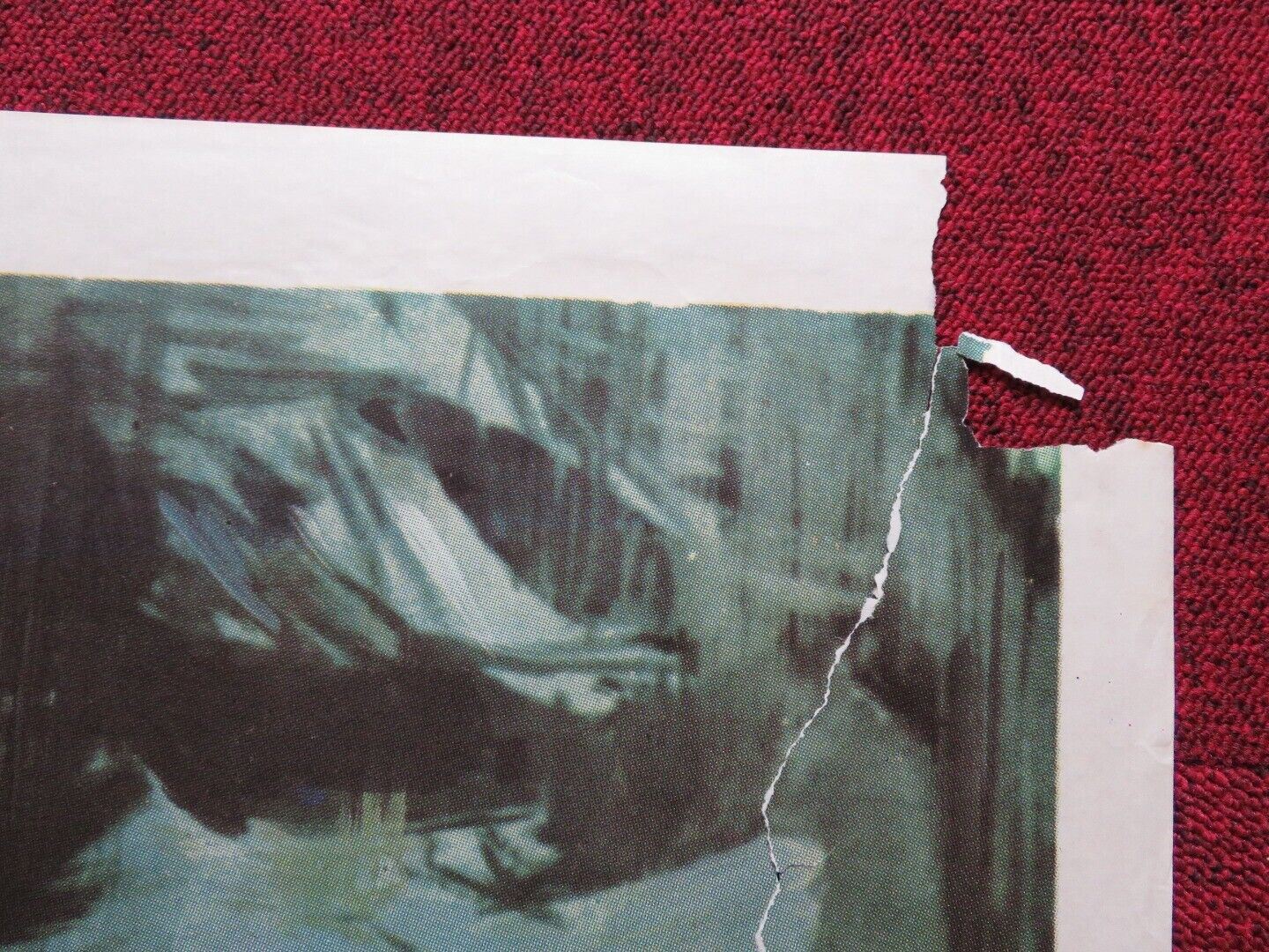 INTIMACY FOLDED ARGENTINA ONE SHEET POSTER ROSSANA PODESTA LANDO BUZZANCA 1970 - Rendezvous Cinema