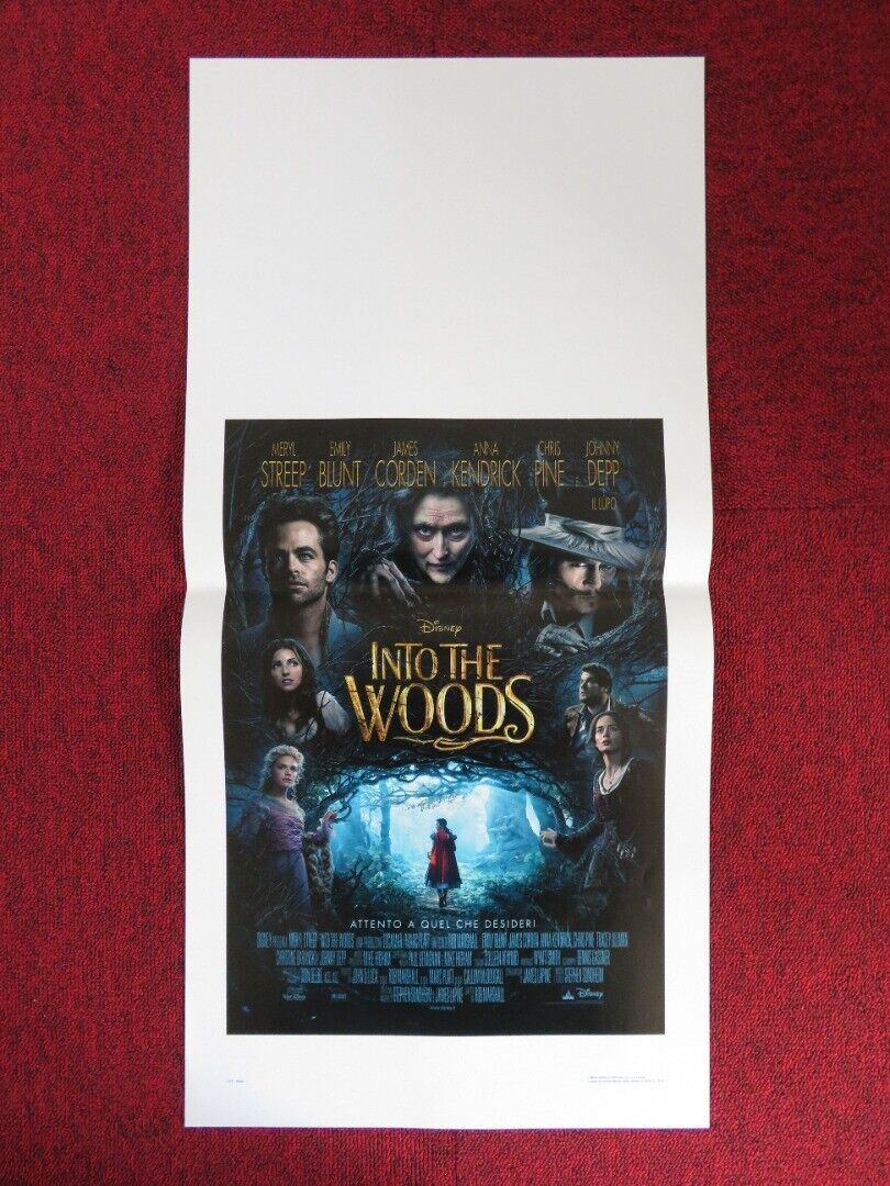 INTO THE WOODS ITALIAN LOCANDINA (27.5"x13") POSTER DISNEY MERYL STREEP 2014 Movie posters