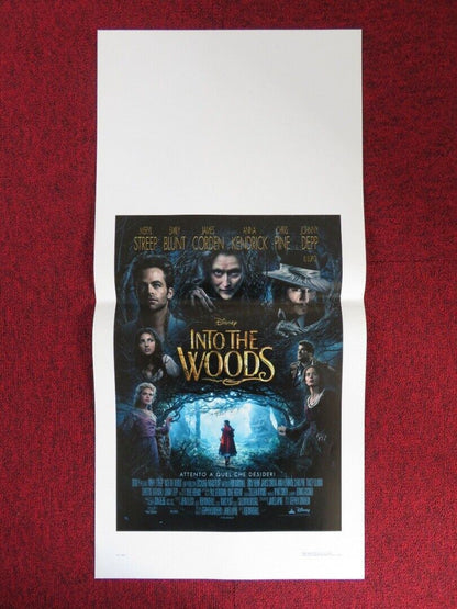 INTO THE WOODS ITALIAN LOCANDINA (27.5"x13") POSTER DISNEY MERYL STREEP 2014 Movie posters