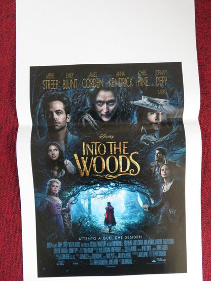 INTO THE WOODS ITALIAN LOCANDINA (27.5"x13") POSTER DISNEY MERYL STREEP 2014 Movie posters