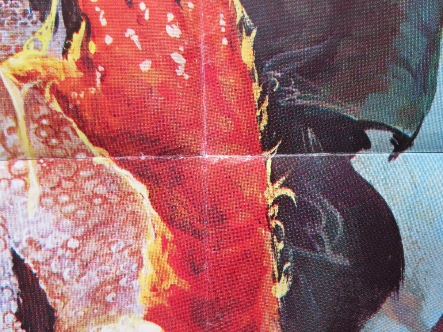 INVASION OF THE BODY SNATCHERS SPANISH POSTER SUTHERLAND NIMOY GOLDBLUM 1978 Rendezvous Cinema Movie posters