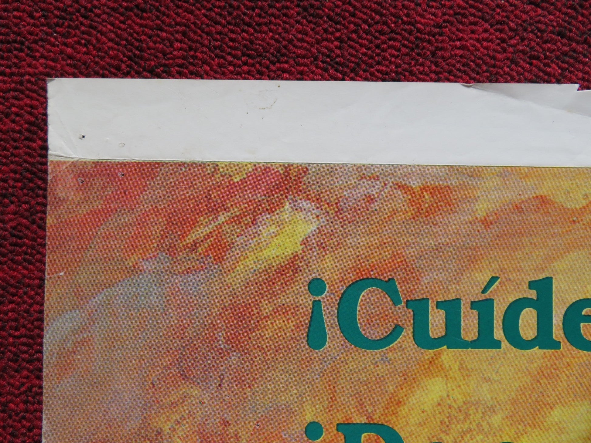 INVASION OF THE BODY SNATCHERS SPANISH POSTER SUTHERLAND NIMOY GOLDBLUM 1978 Rendezvous Cinema Movie posters