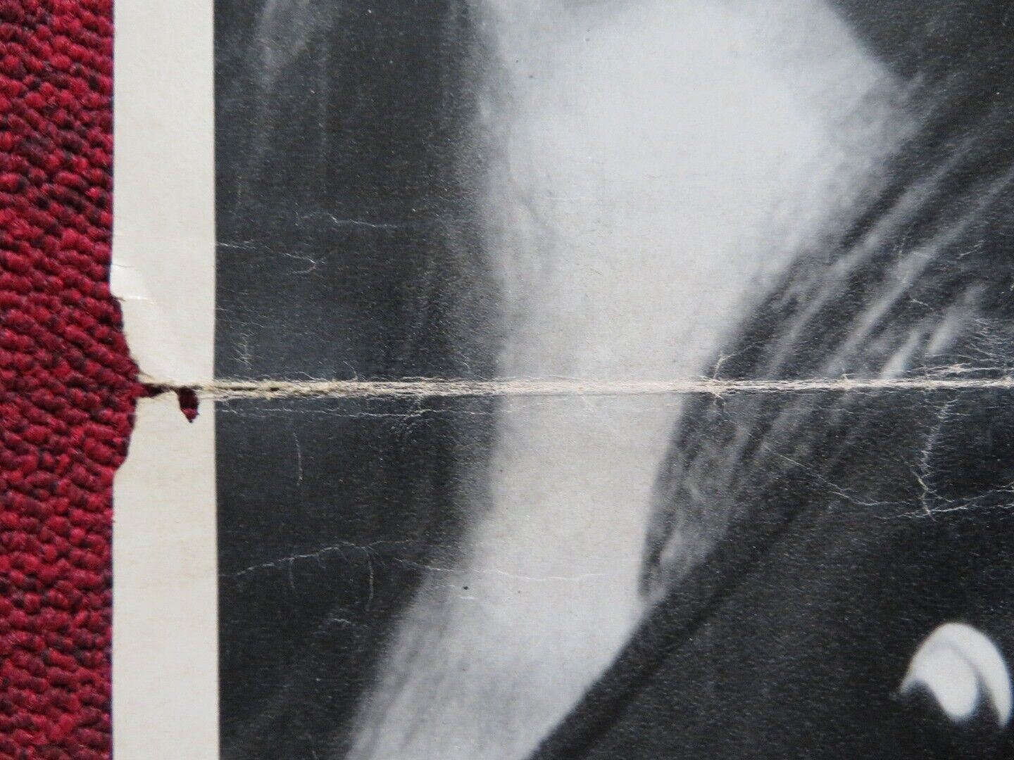 IO, EMMANUELLE ITALIAN FOGLIO ROLLED POSTER ERIKA BLANC ADOLFO CELI 1969 Movie posters