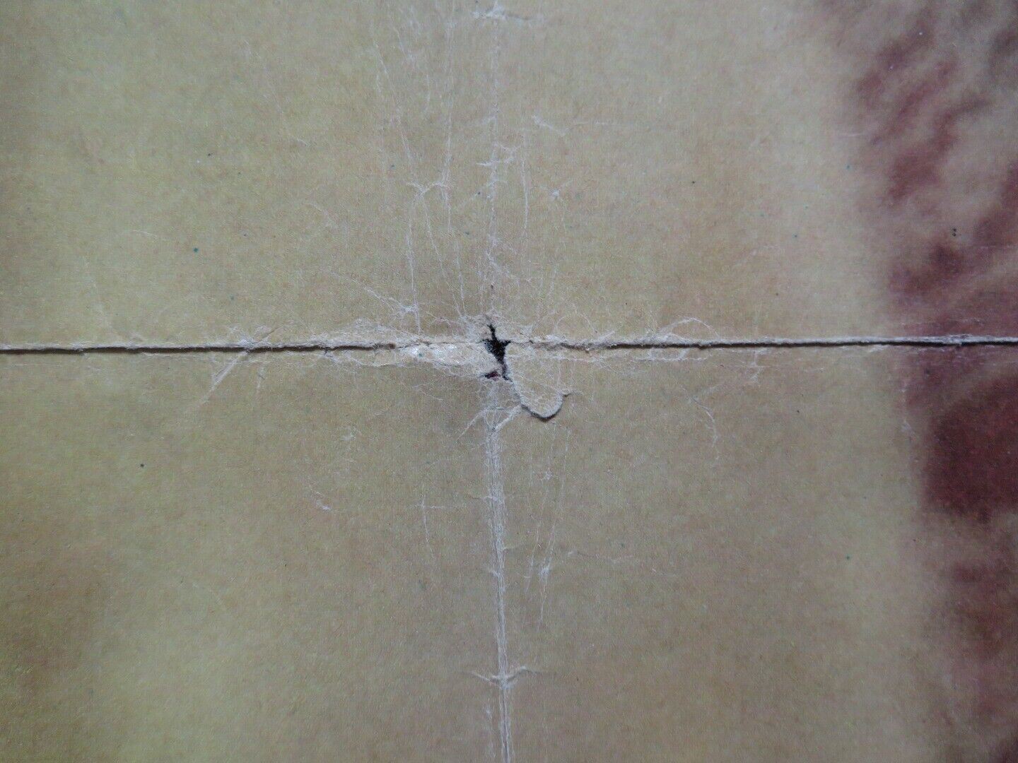 IO, EMMANUELLE ITALIAN FOGLIO ROLLED POSTER ERIKA BLANC ADOLFO CELI 1969 Movie posters