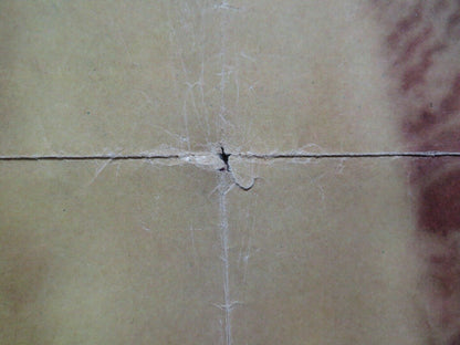 IO, EMMANUELLE ITALIAN FOGLIO ROLLED POSTER ERIKA BLANC ADOLFO CELI 1969 Movie posters