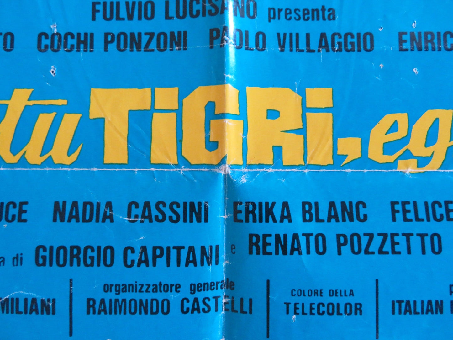 IO TIGRO TU TIGRI EGLI TIGRA ITALIAN FOGLIO POSTER RENATO POZZETTO PONZONI 1978 Rendezvous Cinema Movie posters