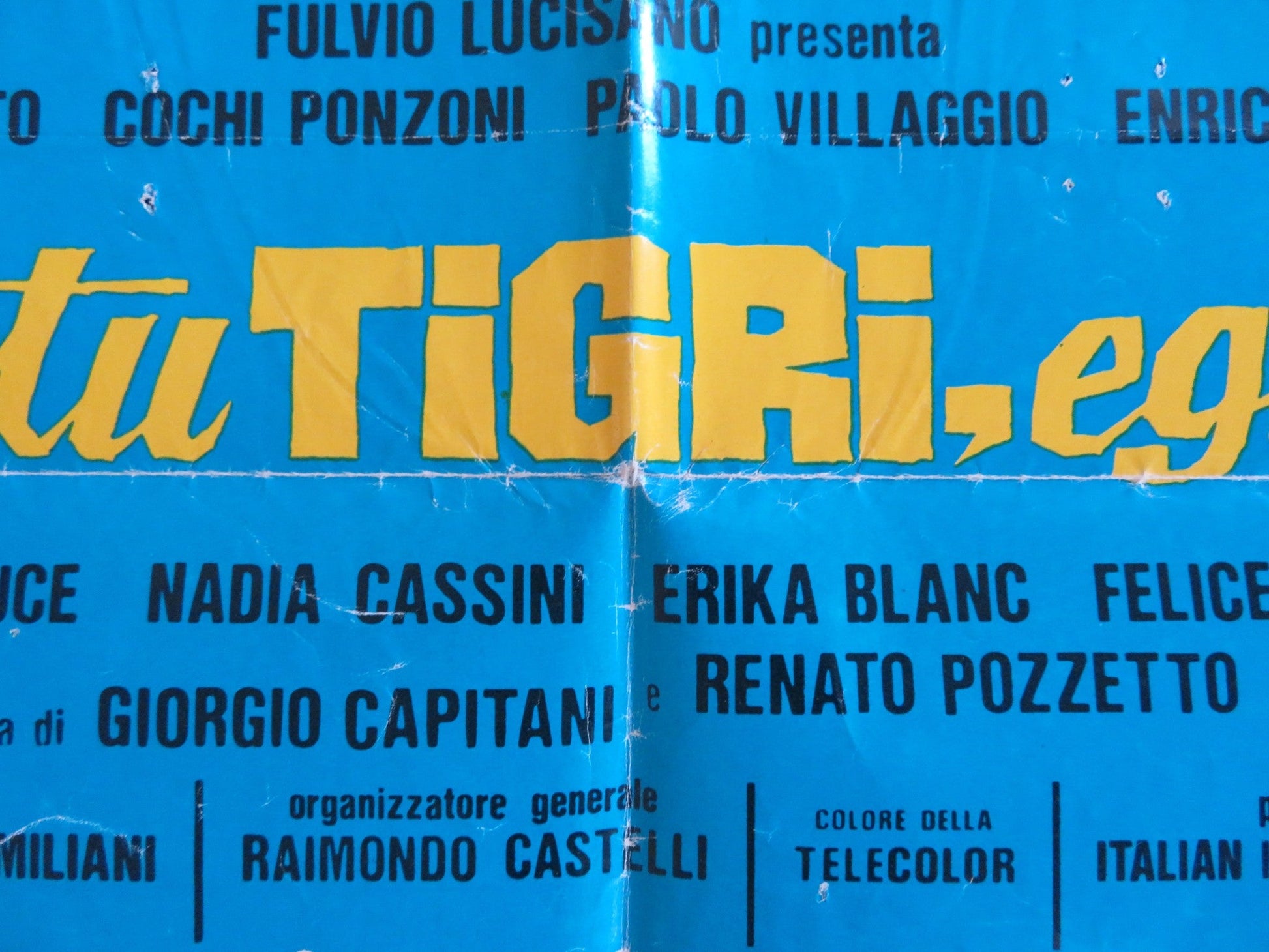 IO TIGRO TU TIGRI EGLI TIGRA ITALIAN FOGLIO POSTER RENATO POZZETTO PONZONI 1978 Rendezvous Cinema Movie posters