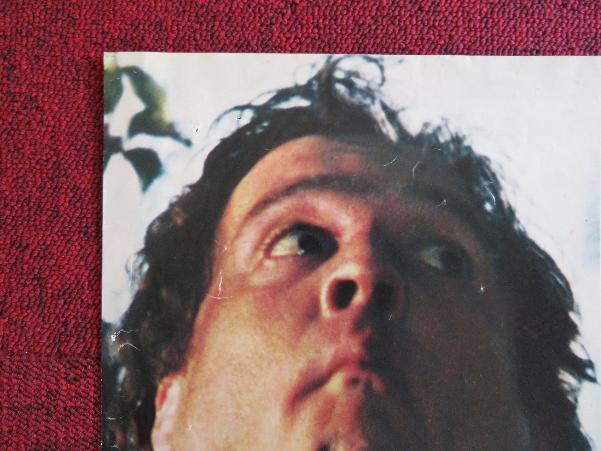 IO TIGRO TU TIGRI EGLI TIGRA ITALIAN FOGLIO POSTER RENATO POZZETTO PONZONI 1978 Rendezvous Cinema Movie posters