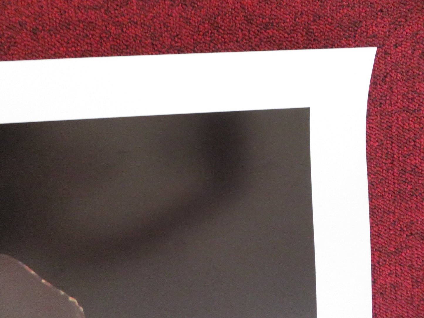 IREZUMI US ONE SHEET ROLLED POSTER MASAYO UTSUNOMIYA TOMISABURO WAKAYAMA 1982 Rendezvous Cinema Movie posters