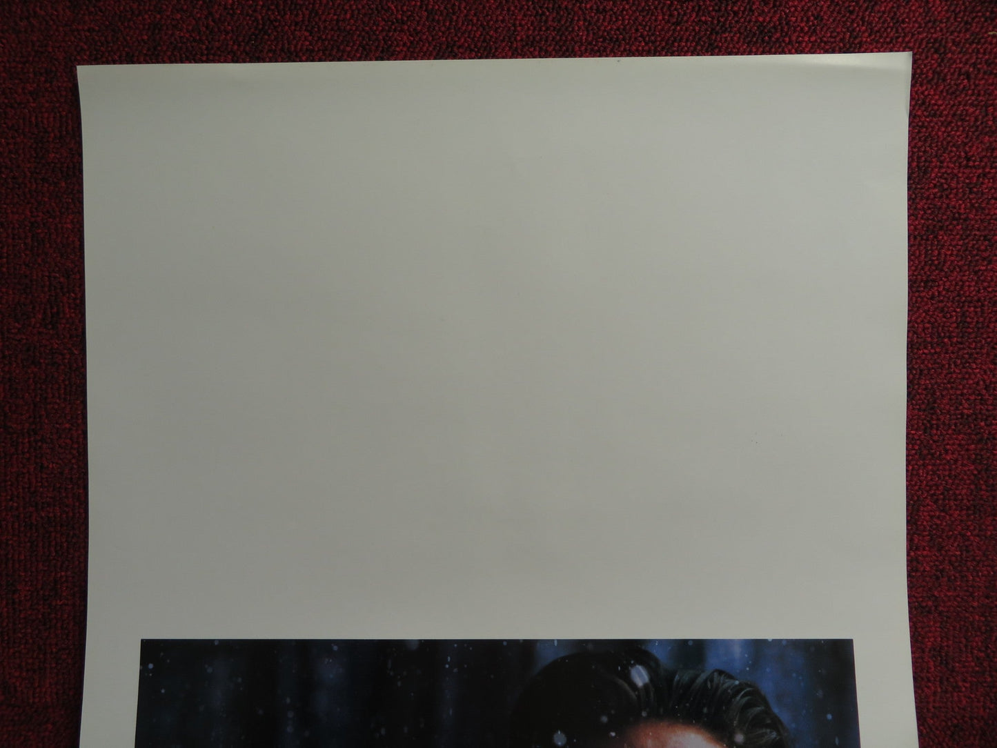 IRON WILL ITALIAN LOCANDINA POSTER DISNEY MACKENZIE ASTIN 1994 Rendezvous Cinema Movie posters