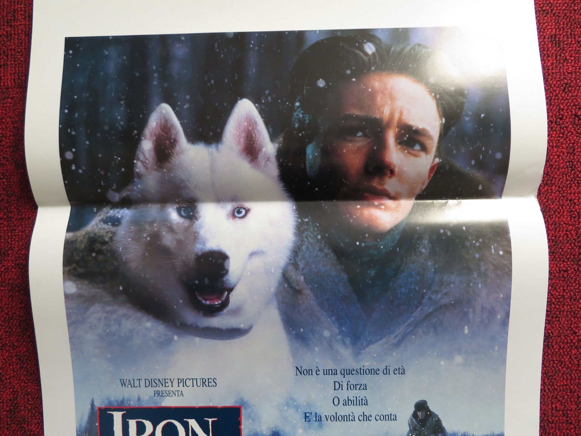 IRON WILL ITALIAN LOCANDINA POSTER DISNEY MACKENZIE ASTIN 1994 Rendezvous Cinema Movie posters