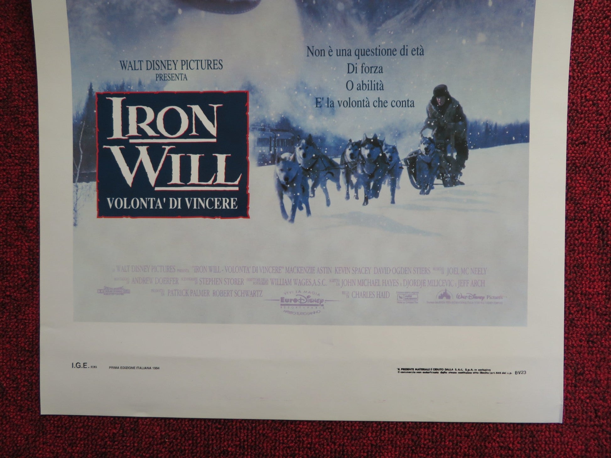 IRON WILL ITALIAN LOCANDINA POSTER DISNEY MACKENZIE ASTIN 1994 Rendezvous Cinema Movie posters