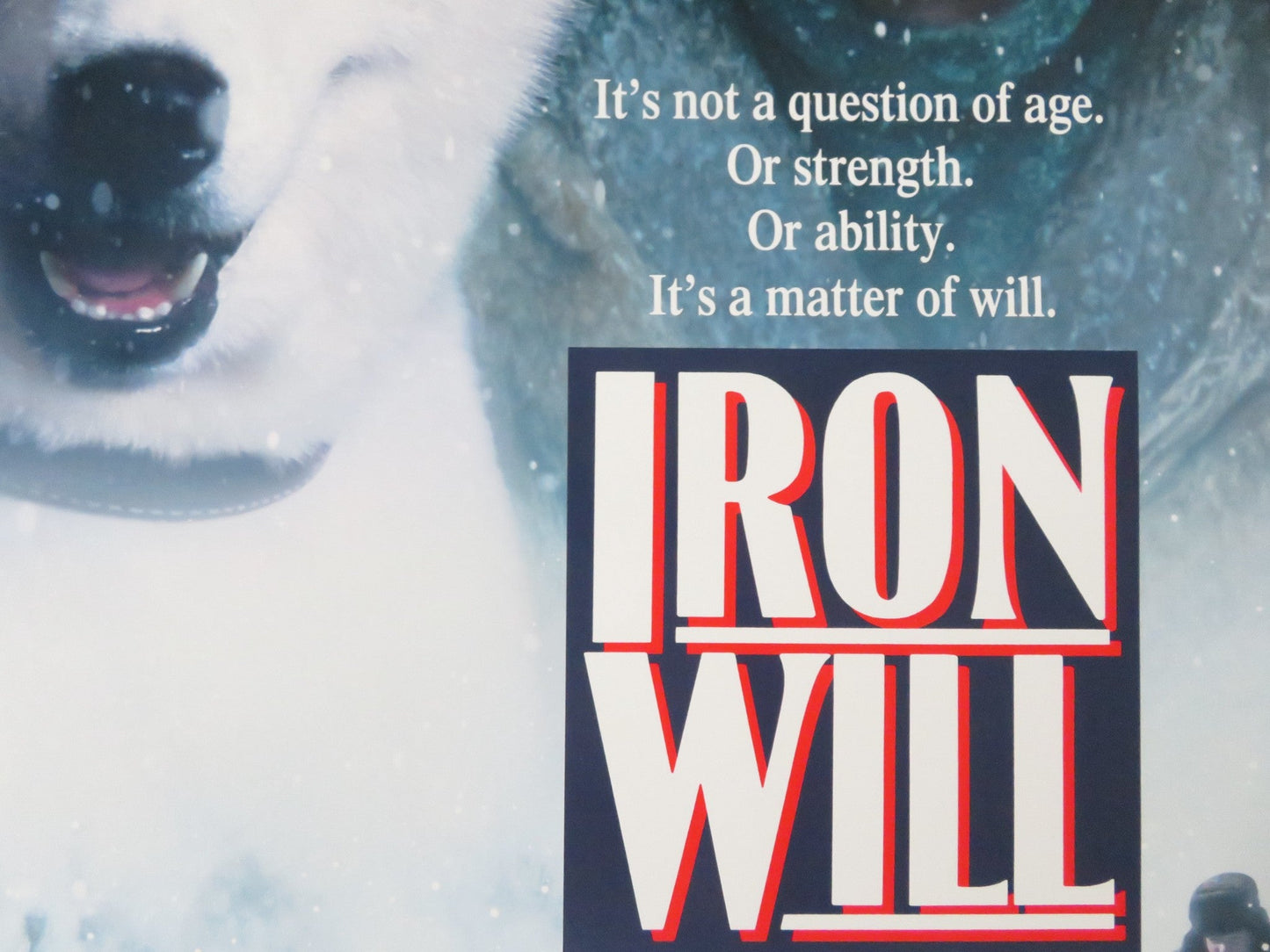 IRON WILL US ONE SHEET ROLLED POSTER DISNEY KEVIN SPACEY MACKENZIE ASTIN 1994 Rendezvous Cinema Movie posters
