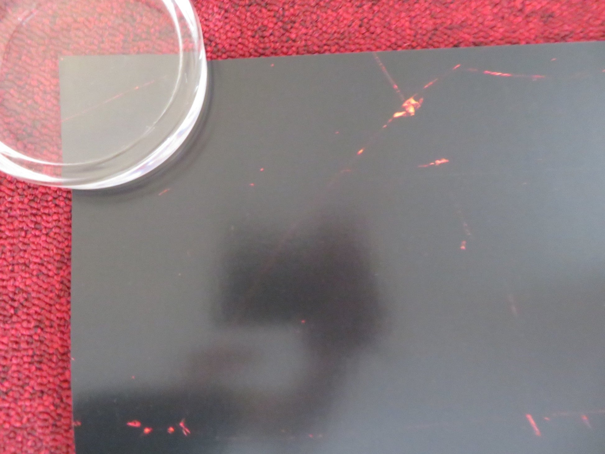 IT LIVES INSIDE US ONE SHEET ROLLED POSTER MEGAN SURI NEERU BAJWA 2023 Rendezvous Cinema Movie posters