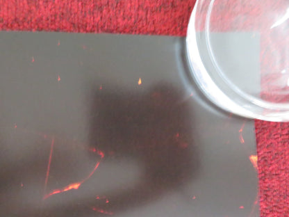 IT LIVES INSIDE US ONE SHEET ROLLED POSTER MEGAN SURI NEERU BAJWA 2023 Rendezvous Cinema Movie posters