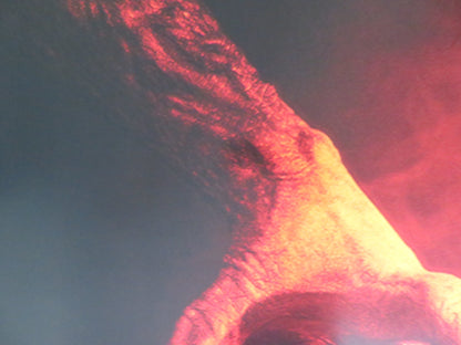 IT LIVES INSIDE US ONE SHEET ROLLED POSTER MEGAN SURI NEERU BAJWA 2023 Rendezvous Cinema Movie posters