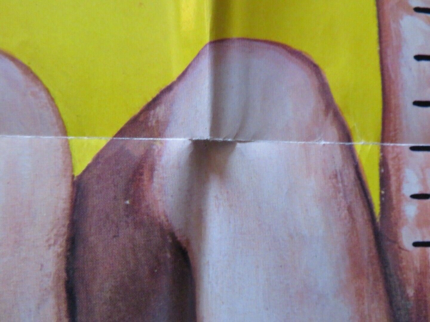 IT'S NOT THE SIZE THAT COUNTS FOLDED US ONE SHEET POSTER "LEIGH LAWSON 1974 Movie posters