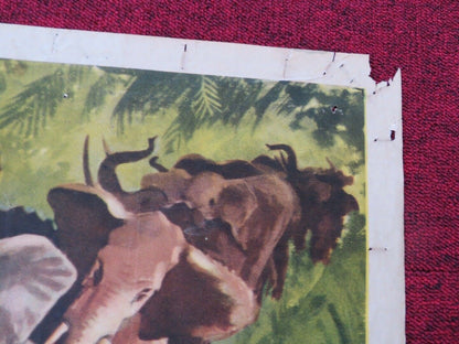 IVORY HUNTER FOLDED US ONE SHEET POSTER ANTHONY STEEL DINAH SHERIDAN 1952 Movie posters