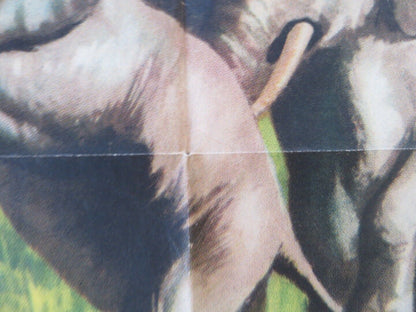 IVORY HUNTER FOLDED US ONE SHEET POSTER ANTHONY STEEL DINAH SHERIDAN 1952 Movie posters